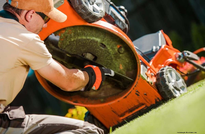 How Heat Waves Damage Lawns—and What Mowing Should Look Like