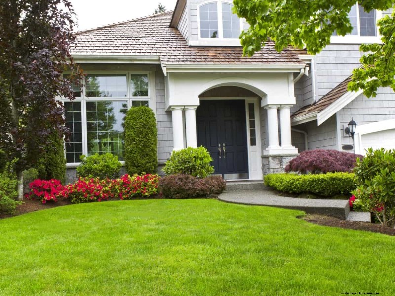 How Heat Waves Damage Lawns—and What Mowing Should Look Like