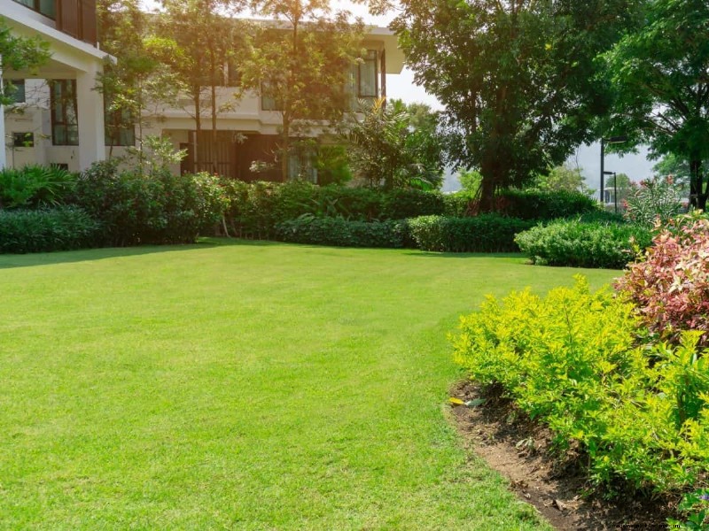 How Heat Waves Damage Lawns—and What Mowing Should Look Like