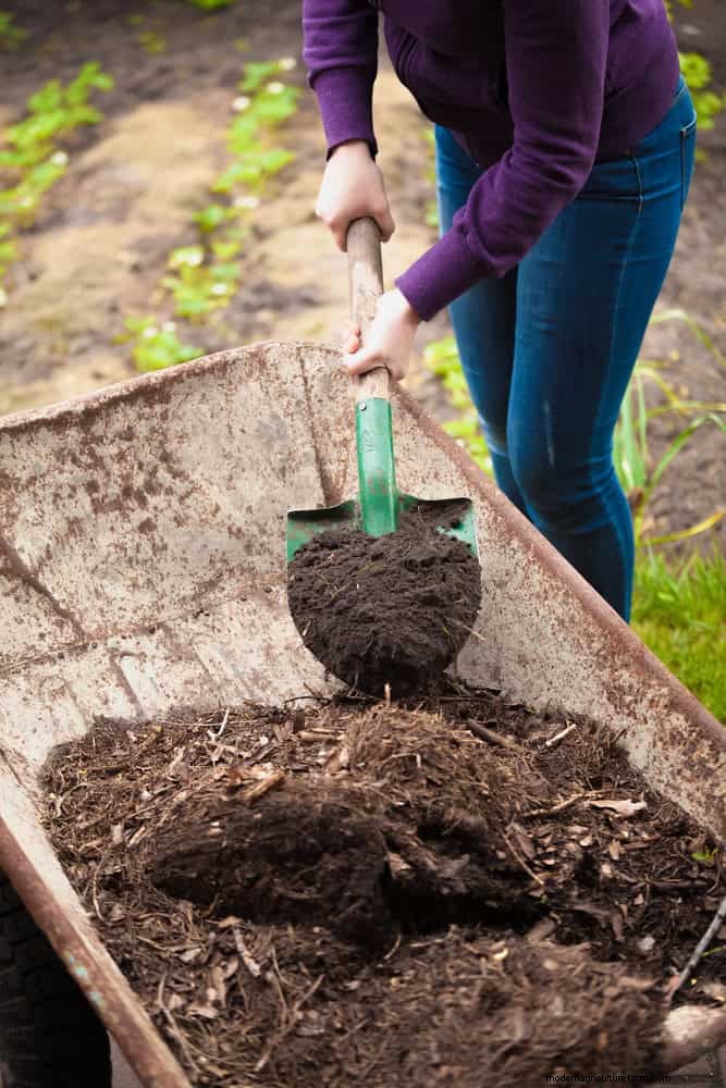 Should You Add Sand to Clay Soil? Expert Guide to Effective Soil Amendments
