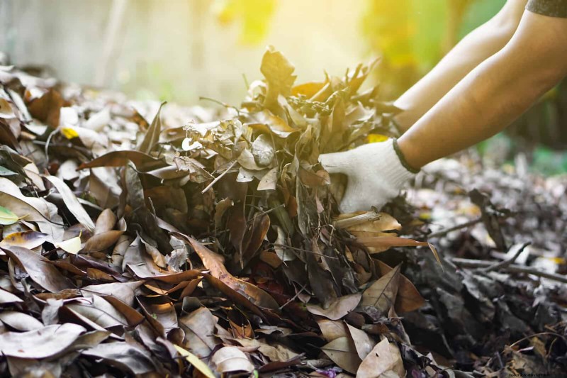 Should You Add Sand to Clay Soil? Expert Guide to Effective Soil Amendments