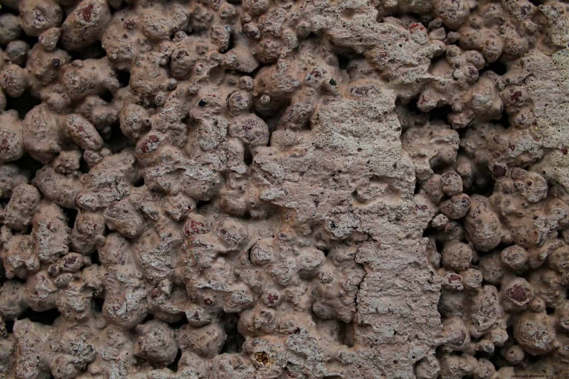 Should You Add Sand to Clay Soil? Expert Guide to Effective Soil Amendments