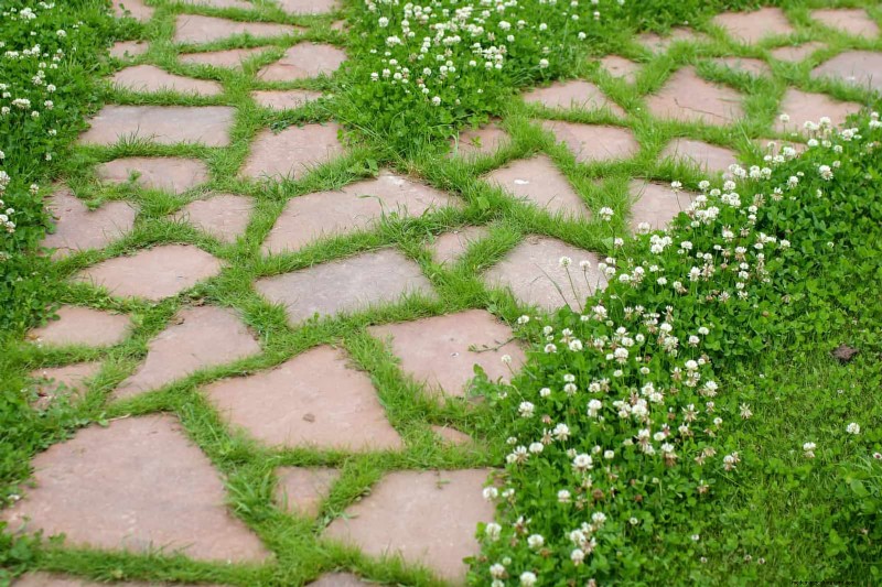 Should You Add Sand to Clay Soil? Expert Guide to Effective Soil Amendments