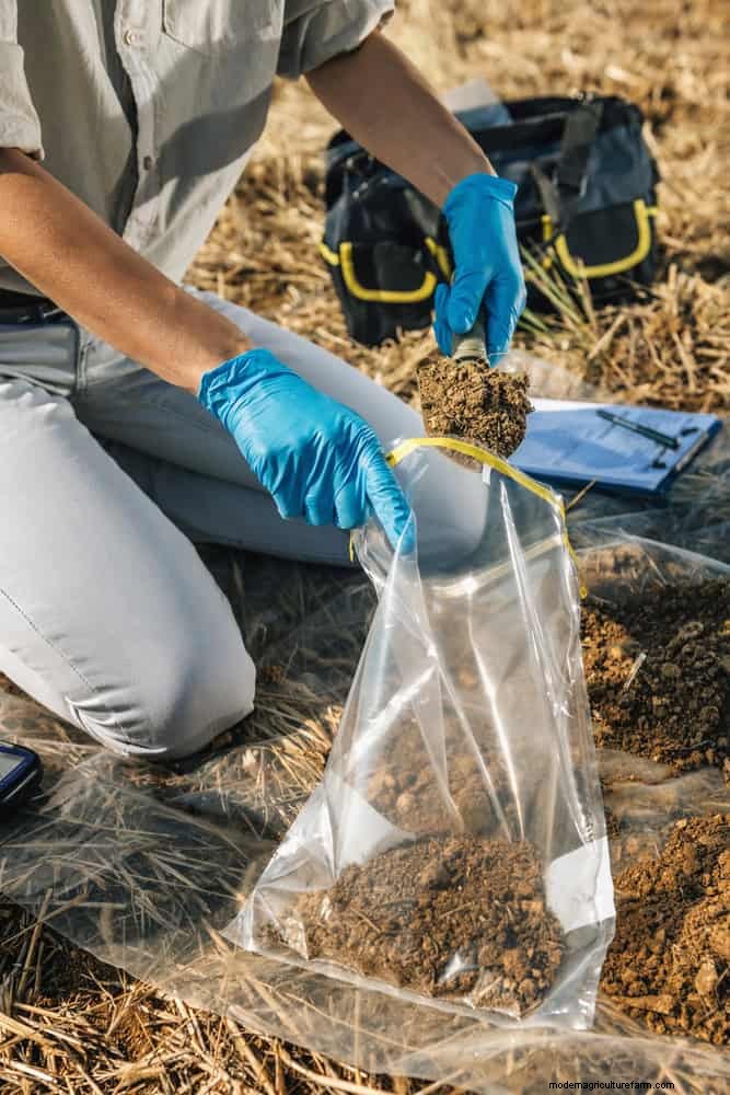 Should You Add Sand to Clay Soil? Expert Guide to Effective Soil Amendments