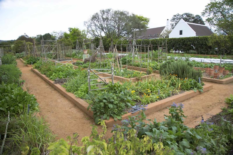 Should You Add Sand to Clay Soil? Expert Guide to Effective Soil Amendments