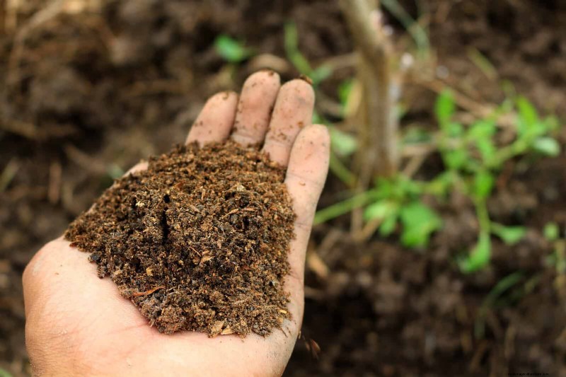 Should You Add Sand to Clay Soil? Expert Guide to Effective Soil Amendments