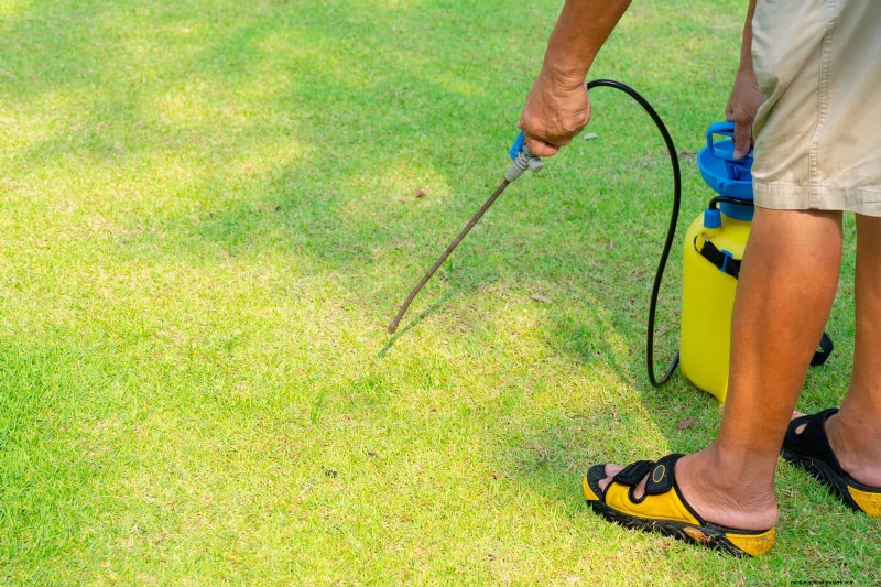 Managing Weeds at Property Lines: A Practical Guide to Legal, Environmental, and Neighborly Considerations