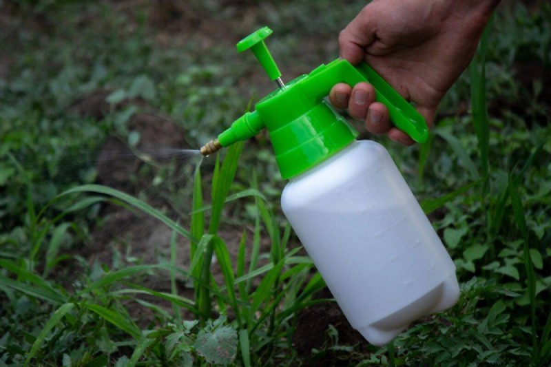Managing Weeds at Property Lines: A Practical Guide to Legal, Environmental, and Neighborly Considerations