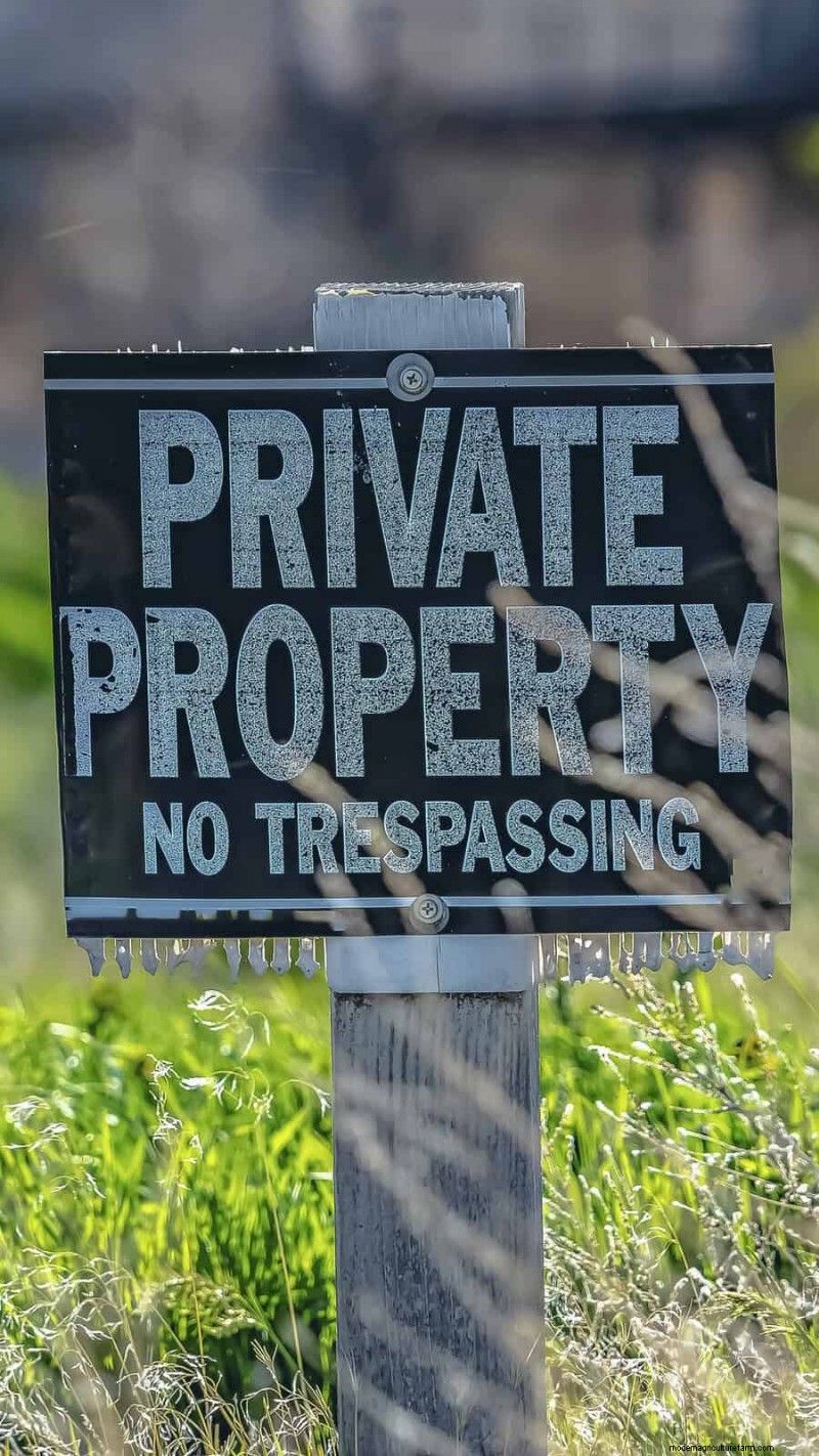 Managing Weeds at Property Lines: A Practical Guide to Legal, Environmental, and Neighborly Considerations