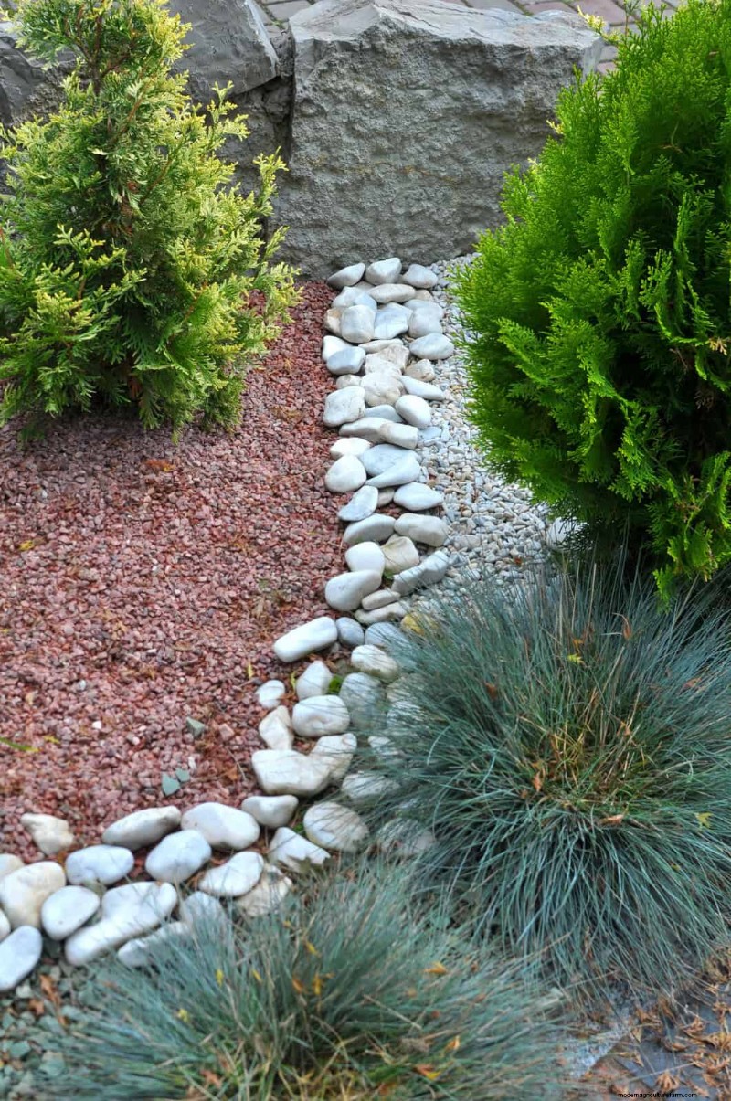 Managing Weeds at Property Lines: A Practical Guide to Legal, Environmental, and Neighborly Considerations