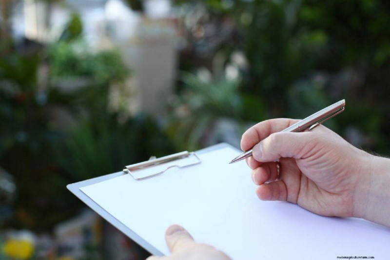 Managing Weeds at Property Lines: A Practical Guide to Legal, Environmental, and Neighborly Considerations