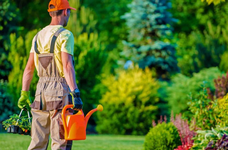 Managing Weeds at Property Lines: A Practical Guide to Legal, Environmental, and Neighborly Considerations