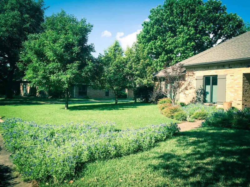 Managing Weeds at Property Lines: A Practical Guide to Legal, Environmental, and Neighborly Considerations