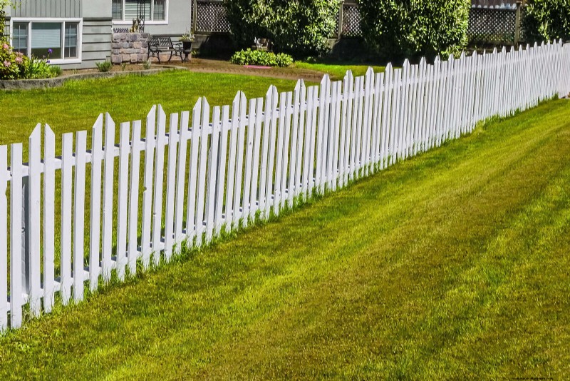 Managing Weeds at Property Lines: A Practical Guide to Legal, Environmental, and Neighborly Considerations