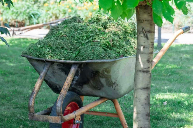 Speed Up Grass Clipping Decomposition: Expert Tips for a Resilient, Healthy Lawn