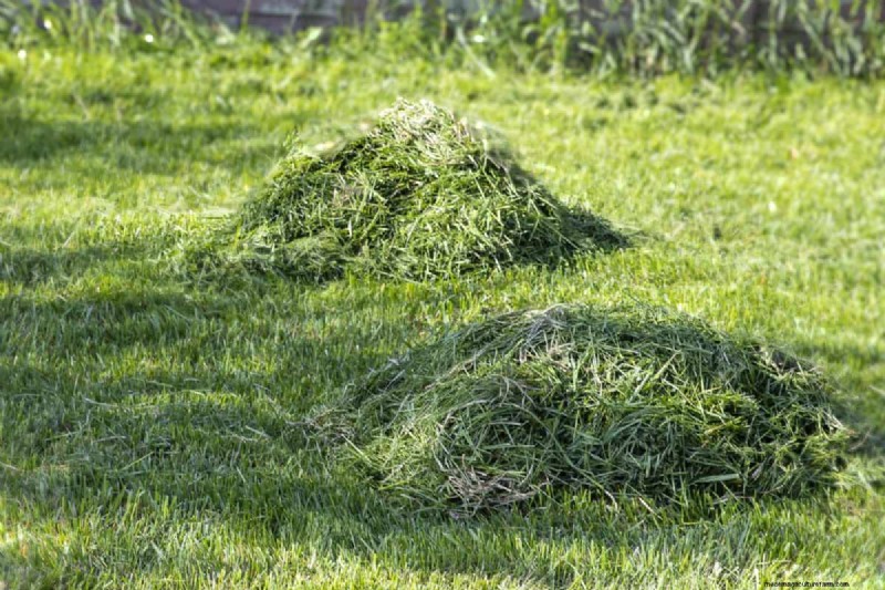 Speed Up Grass Clipping Decomposition: Expert Tips for a Resilient, Healthy Lawn