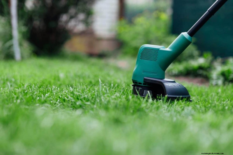 Speed Up Grass Clipping Decomposition: Expert Tips for a Resilient, Healthy Lawn