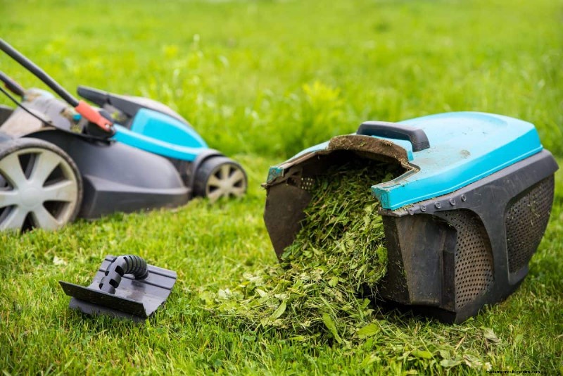 Speed Up Grass Clipping Decomposition: Expert Tips for a Resilient, Healthy Lawn