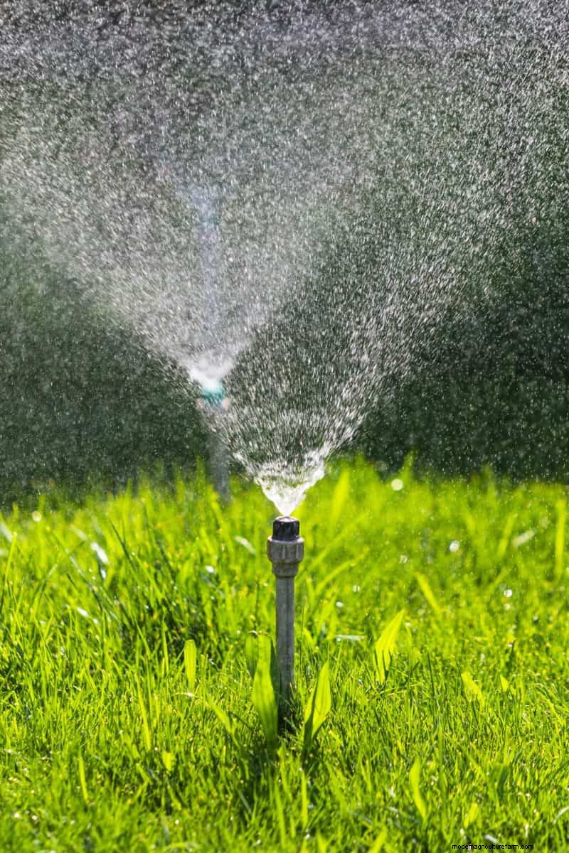 Speed Up Grass Clipping Decomposition: Expert Tips for a Resilient, Healthy Lawn