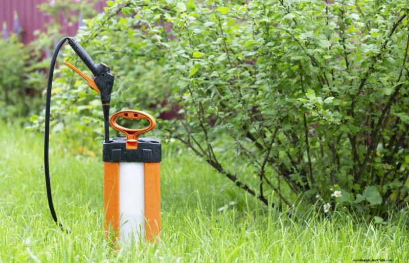 Speed Up Grass Clipping Decomposition: Expert Tips for a Resilient, Healthy Lawn