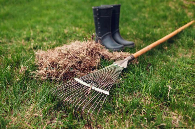 Speed Up Grass Clipping Decomposition: Expert Tips for a Resilient, Healthy Lawn