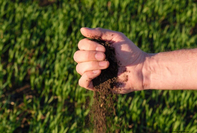 Speed Up Grass Clipping Decomposition: Expert Tips for a Resilient, Healthy Lawn