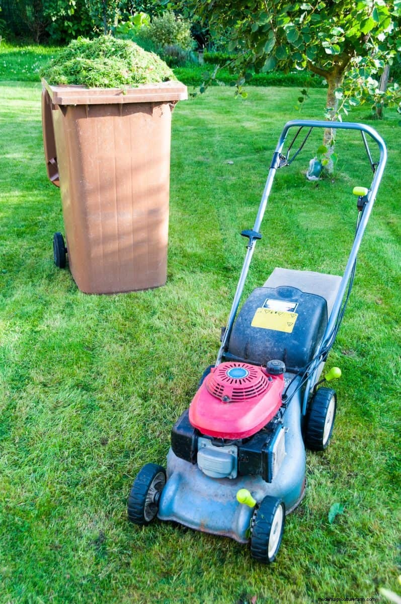 Speed Up Grass Clipping Decomposition: Expert Tips for a Resilient, Healthy Lawn