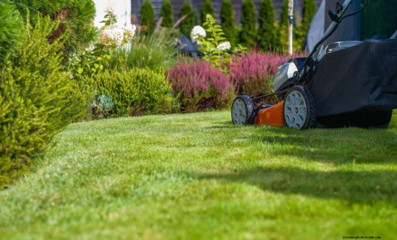 Speed Up Grass Clipping Decomposition: Expert Tips for a Resilient, Healthy Lawn