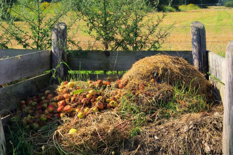 Speed Up Grass Clipping Decomposition: Expert Tips for a Resilient, Healthy Lawn