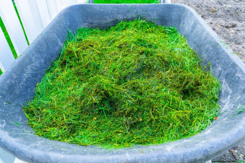 Speed Up Grass Clipping Decomposition: Expert Tips for a Resilient, Healthy Lawn