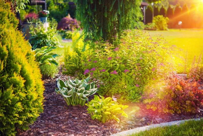 Protect Your Garden Roots from Summer Heat: Expert Tips for Thriving Plants