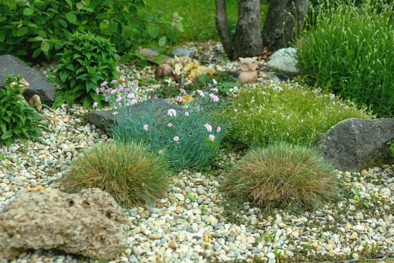 Protect Your Garden Roots from Summer Heat: Expert Tips for Thriving Plants