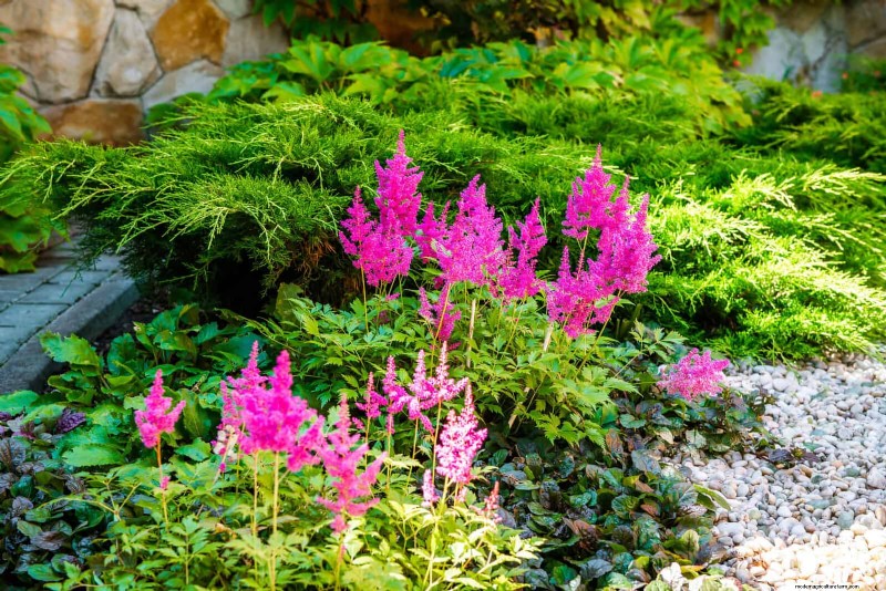 Protect Your Garden Roots from Summer Heat: Expert Tips for Thriving Plants