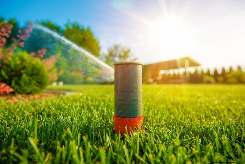 Is Daily Summer Lawn Watering Wise or Wasteful? Expert Guide to Smart Irrigation