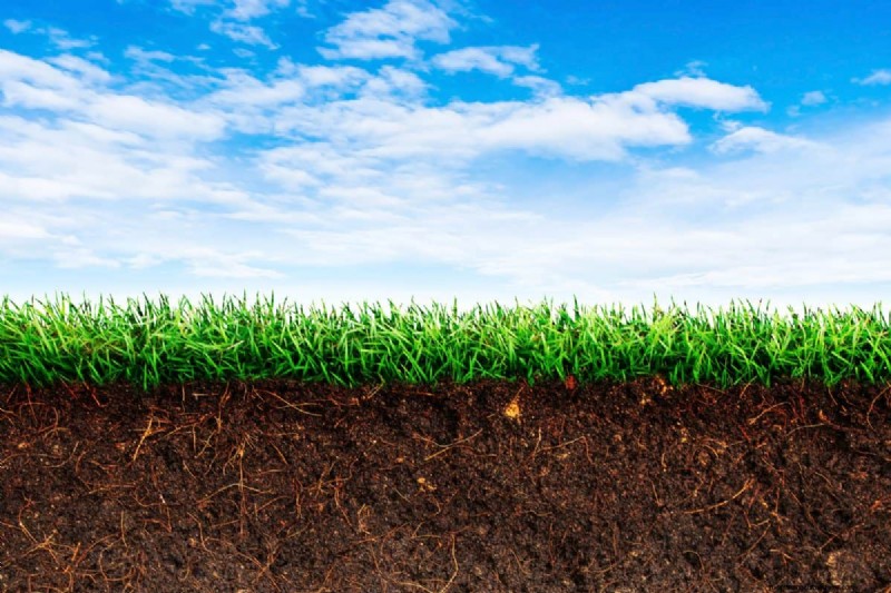 Is Daily Summer Lawn Watering Wise or Wasteful? Expert Guide to Smart Irrigation