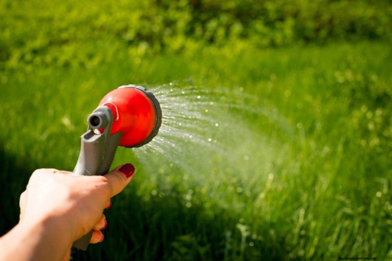 Is Daily Summer Lawn Watering Wise or Wasteful? Expert Guide to Smart Irrigation