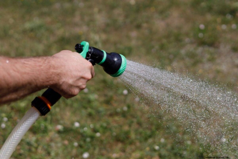 Is Daily Summer Lawn Watering Wise or Wasteful? Expert Guide to Smart Irrigation