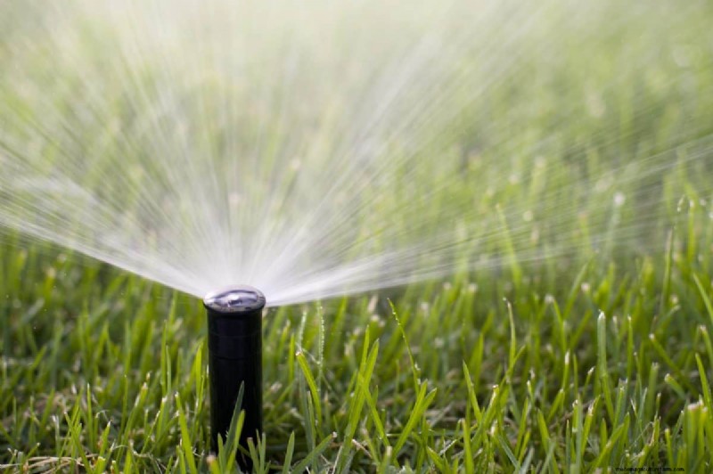 Is Daily Summer Lawn Watering Wise or Wasteful? Expert Guide to Smart Irrigation
