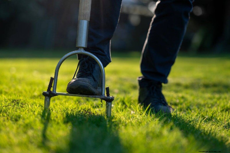 Is Daily Summer Lawn Watering Wise or Wasteful? Expert Guide to Smart Irrigation