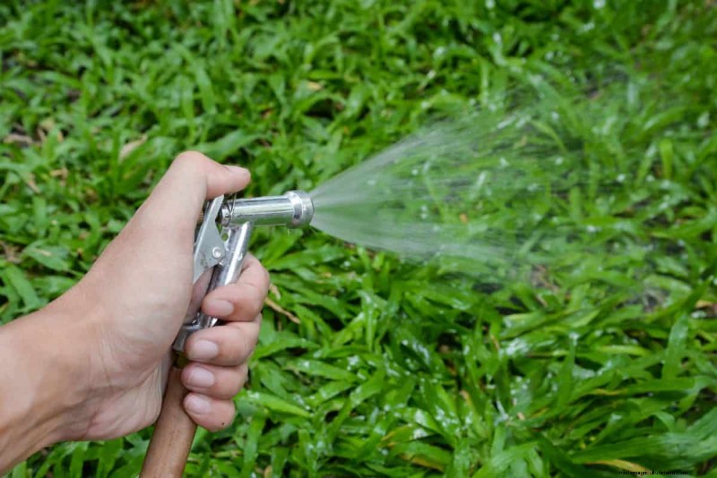 Is Daily Summer Lawn Watering Wise or Wasteful? Expert Guide to Smart Irrigation