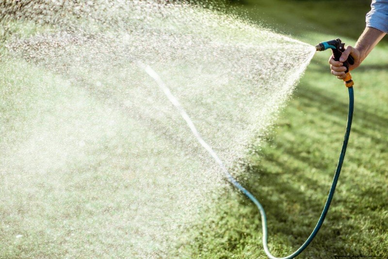 Is Daily Summer Lawn Watering Wise or Wasteful? Expert Guide to Smart Irrigation