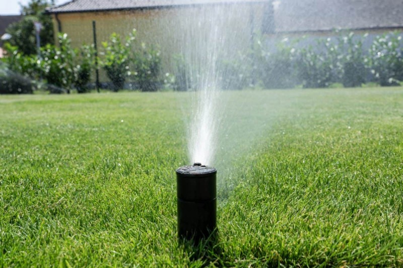 Is Daily Summer Lawn Watering Wise or Wasteful? Expert Guide to Smart Irrigation