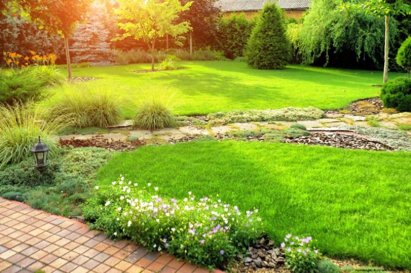 Is Daily Summer Lawn Watering Wise or Wasteful? Expert Guide to Smart Irrigation