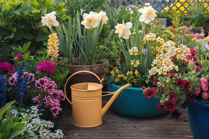 15 Expert Shade Techniques to Keep Your Plants Thriving in Summer Heat