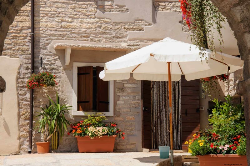 15 Expert Shade Techniques to Keep Your Plants Thriving in Summer Heat