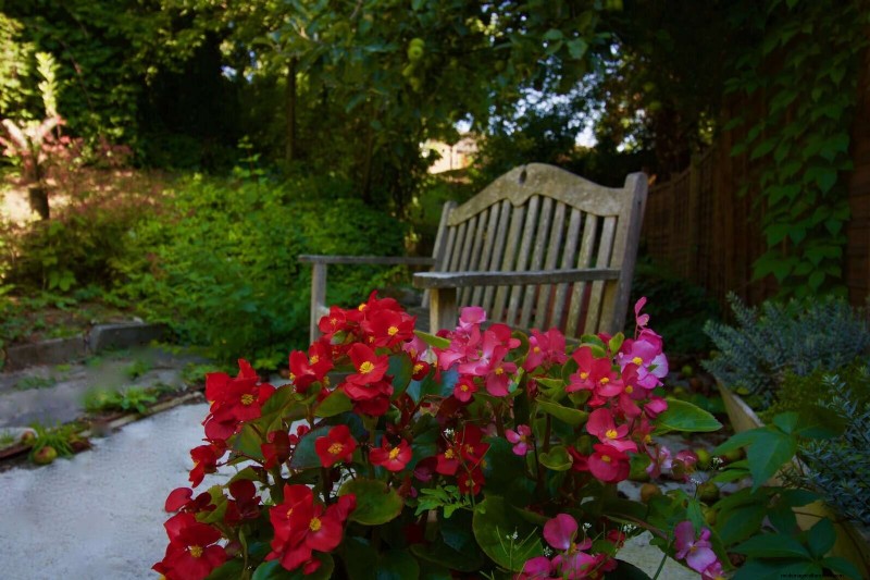 15 Expert Shade Techniques to Keep Your Plants Thriving in Summer Heat