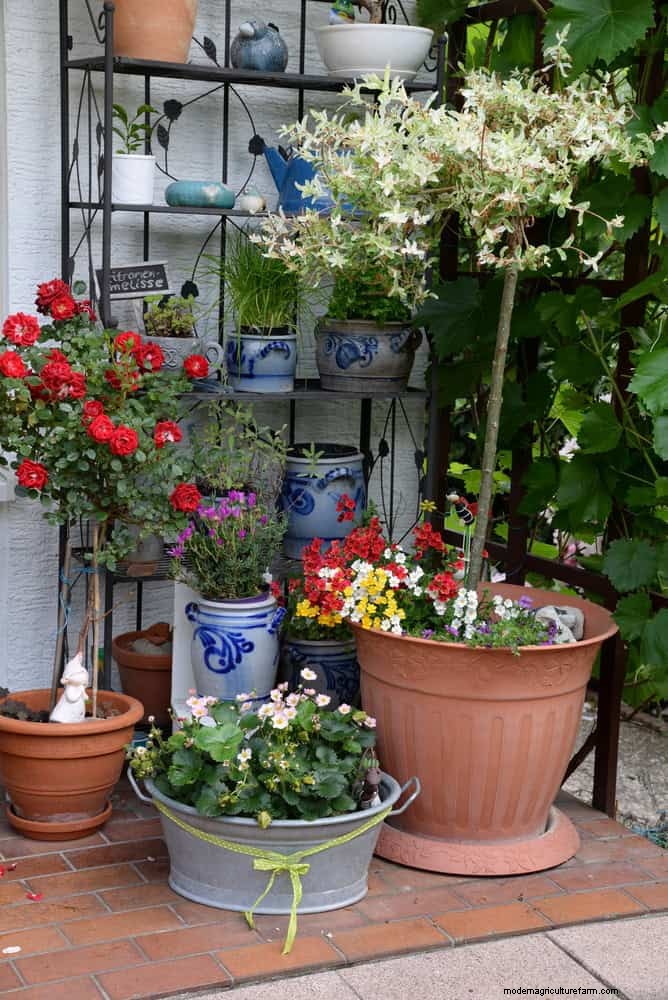 15 Expert Shade Techniques to Keep Your Plants Thriving in Summer Heat