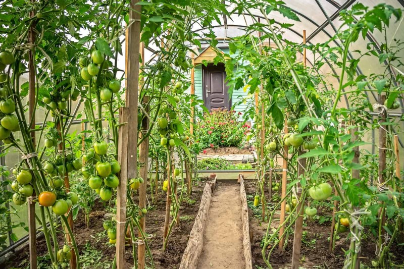 15 Expert Shade Techniques to Keep Your Plants Thriving in Summer Heat