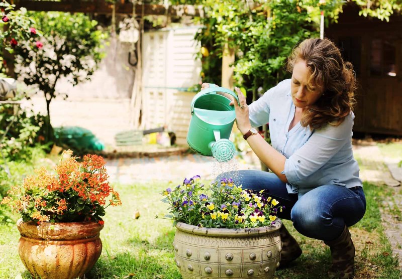 Keep Container Plants Thriving in Extreme Heat: 7 Expert‑Approved Strategies