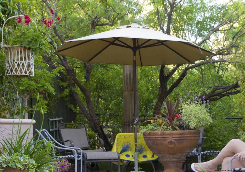 Keep Container Plants Thriving in Extreme Heat: 7 Expert‑Approved Strategies